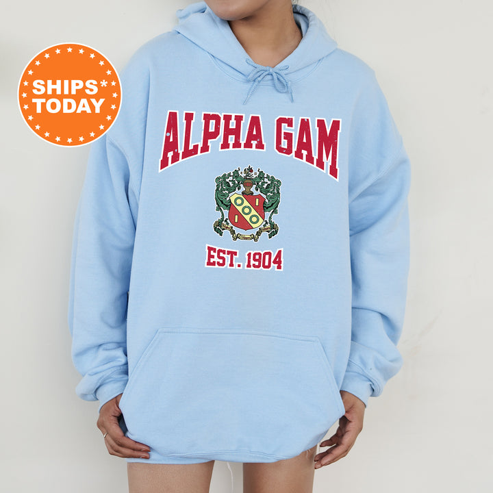 a person wearing a blue hoodie with a red and green logo on it