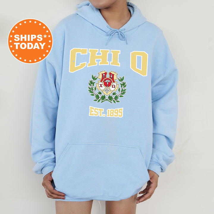a person wearing a light blue hoodie with a crest on it
