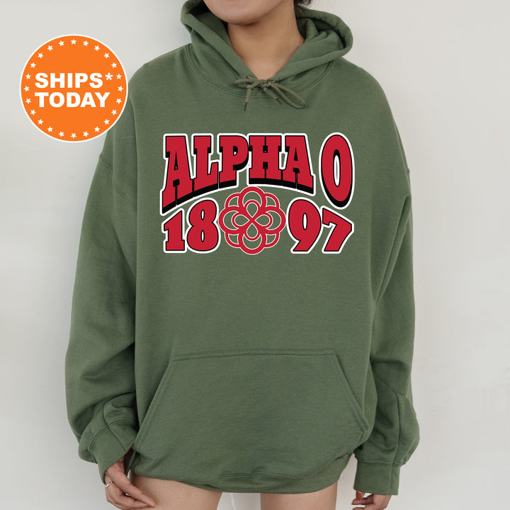 a person wearing a green hoodie with the words alpho on it