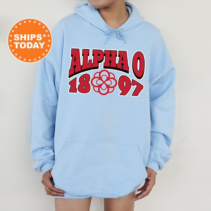 a person wearing a blue hoodie with the words alpho on it