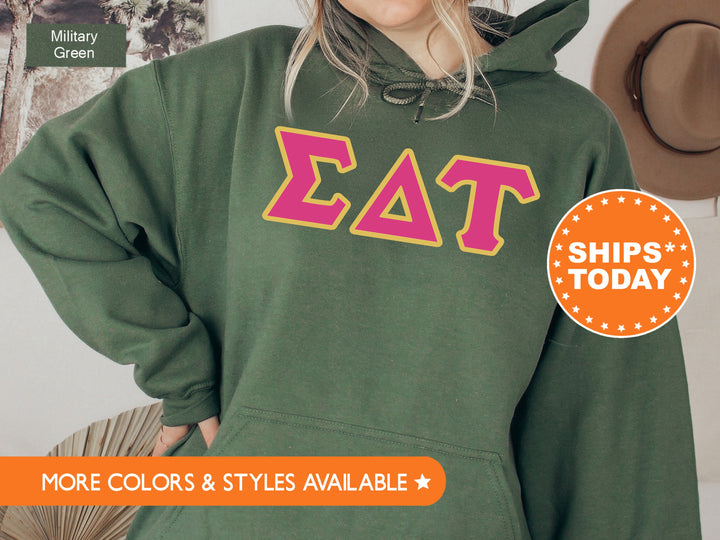 Sigma Delta Tau Pink and Gold Sorority Sweatshirt | Sigma Delta Tau Sweatshirt | Sig Delt Greek Letter | Sig Delt Merch | Big Little