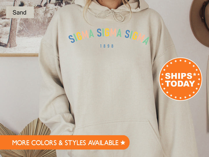 Sigma Sigma Sigma Retro and Year Sorority Sweatshirt | Tri Sigma Retro Sweatshirt | Sorority Hoodie | Big Little Sorority Reveal _ 8239g