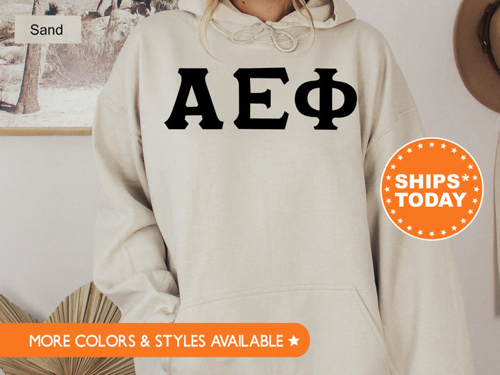 Alpha Epsilon Phi Super Simple Sorority Sweatshirt | AEPHI Greek Letter Sweatshirt | Sorority Letters | Big Little | College Apparel