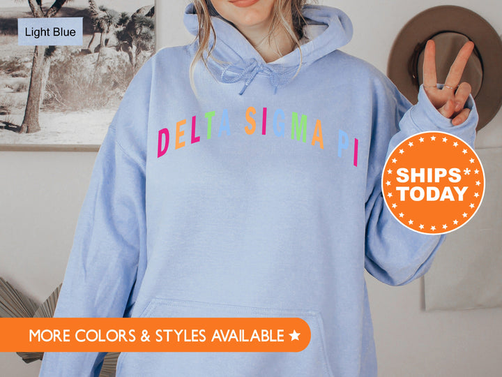 Delta Sigma Pi Greek Rainbow  Coed Sweatshirt | Deltasig Sweatshirt | Coed Fraternity | Bid Day Gifts | Greek Life | Deltasig Merch _ 8882g