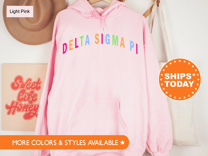 Delta Sigma Pi Greek Rainbow  Coed Sweatshirt | Deltasig Sweatshirt | Coed Fraternity | Bid Day Gifts | Greek Life | Deltasig Merch _ 8882g