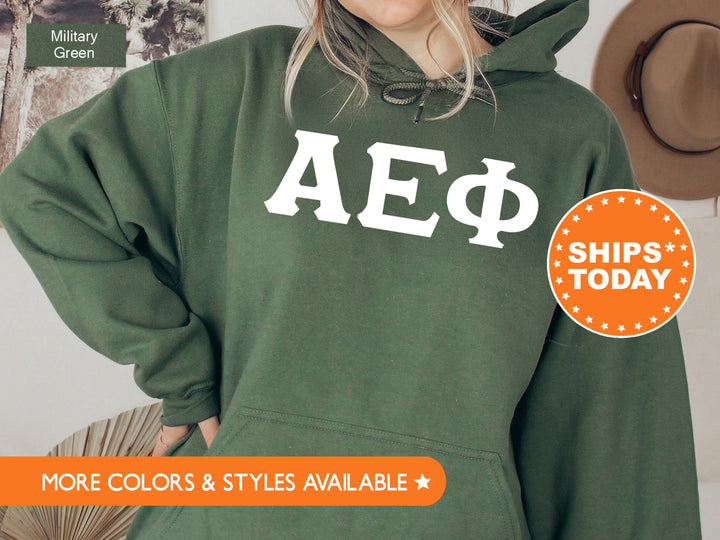 Alpha Epsilon Phi Basic Letters Sorority Sweatshirt | AEPHI Sorority Letters | Big Little Reveal | Sorority Hoodie | Greek Letters 8348g