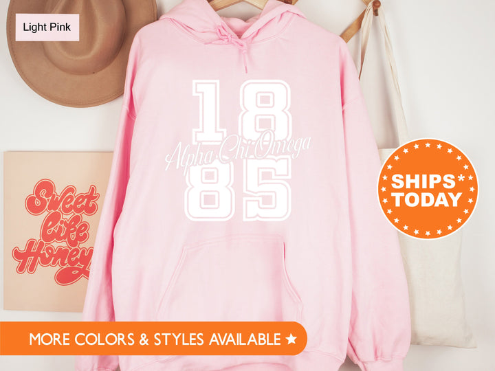 Alpha Chi Omega Big Year Sorority Sweatshirt | Alpha Chi Hoodie | ACHIO Greek Apparel | AXO Bid Day Gifts | Big Little Sorority _ 7228g