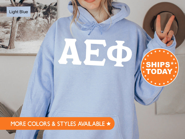 Alpha Epsilon Phi Basic Letters Sorority Sweatshirt | AEPHI Sorority Letters | Big Little Reveal | Sorority Hoodie | Greek Letters 8348g