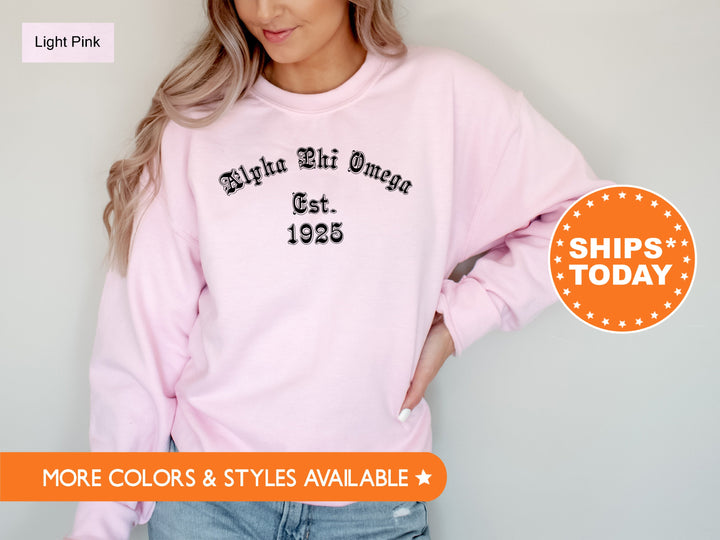 Alpha Phi Omega Old English Coed Sweatshirt | APO Hoodie | APHIO Coed Fraternity Sweatshirt | Sorority Apparel | Sorority Gifts _ 8816g