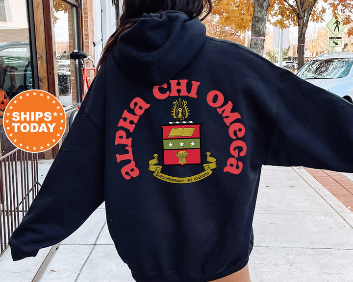 Alpha Chi Omega Sorority Style Sorority Sweatshirt | Alpha Chi Hoodie | ACHIO Big Little | Alpha Chi Omega Sweatshirt | AXO Merch 9362g