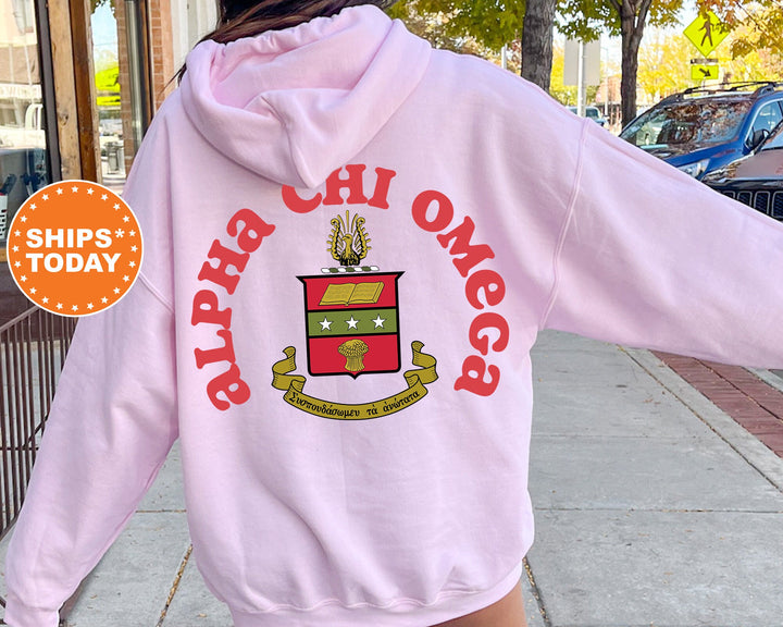Alpha Chi Omega Sorority Style Sorority Sweatshirt | Alpha Chi Hoodie | ACHIO Big Little | Alpha Chi Omega Sweatshirt | AXO Merch 9362g