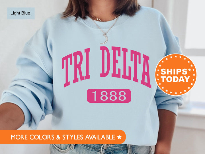 Delta Delta Delta Pink Baseball Sorority Sweatshirt | Tri Delta Hoodie | Big Little Reveal Gift | Sorority Merch | Greek Apparel
