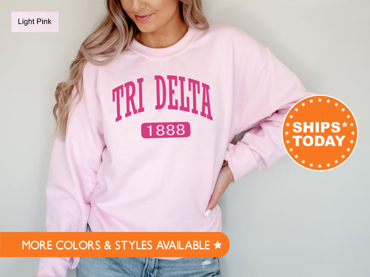 Delta Delta Delta Pink Baseball Sorority Sweatshirt | Tri Delta Hoodie | Big Little Reveal Gift | Sorority Merch | Greek Apparel