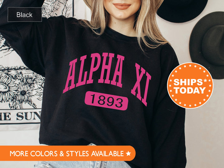 Alpha Xi Delta Pink Baseball Sorority Sweatshirt | AXID Sorority Merch | Alpha Xi Hoodie | Big Little Reveal Gift | Sorority Gifts