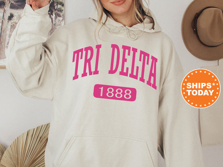 Delta Delta Delta Pink Baseball Sorority Sweatshirt | Tri Delta Hoodie | Big Little Reveal Gift | Sorority Merch | Greek Apparel
