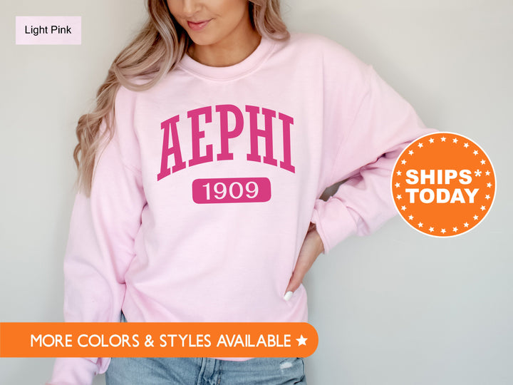 Alpha Epsilon Phi Pink Baseball Sorority Sweatshirt | Alpha Epsilon Phi Sweatshirt | AEPHI Sorority Hoodie | Big Little Reveal Gift