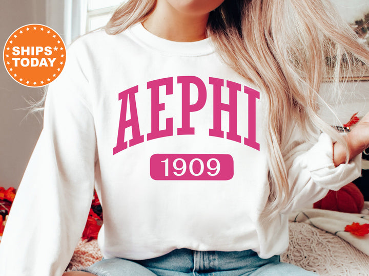 Alpha Epsilon Phi Pink Baseball Sorority Sweatshirt | Alpha Epsilon Phi Sweatshirt | AEPHI Sorority Hoodie | Big Little Reveal Gift