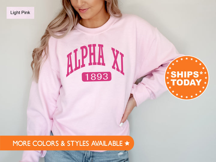 Alpha Xi Delta Pink Baseball Sorority Sweatshirt | AXID Sorority Merch | Alpha Xi Hoodie | Big Little Reveal Gift | Sorority Gifts