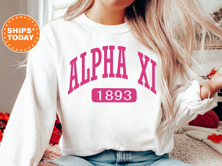Alpha Xi Delta Pink Baseball Sorority Sweatshirt | AXID Sorority Merch | Alpha Xi Hoodie | Big Little Reveal Gift | Sorority Gifts