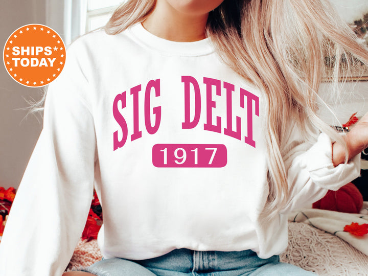 Sigma Delta Tau Pink Baseball Sorority Sweatshirt | Sigma Delta Tau Hoodie | Sorority Hoodie | Big Little Reveal | Greek Apparel
