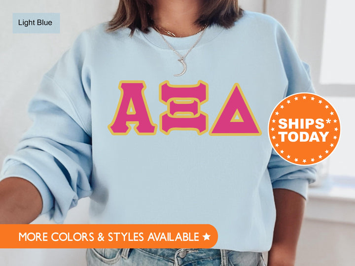 Alpha Xi Delta Pink and Gold Sorority Sweatshirt | Alpha Xi Delta Sweatshirt | AXID Greek Letters | Alpha Xi Hoodie | Big Little