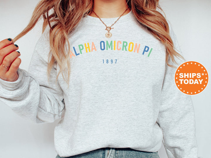 Alpha Omicron Pi Retro and Year Sorority Sweatshirt | Alpha O Retro Sweatshirt | Sorority Hoodie | Big Little Reveal | Sorority Gift _ 8220g