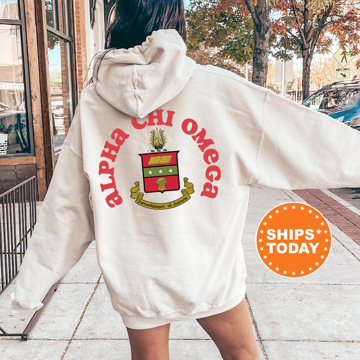Alpha Chi Omega Sorority Style Sorority Sweatshirt | Alpha Chi Hoodie | ACHIO Big Little | Alpha Chi Omega Sweatshirt | AXO Merch 9362g