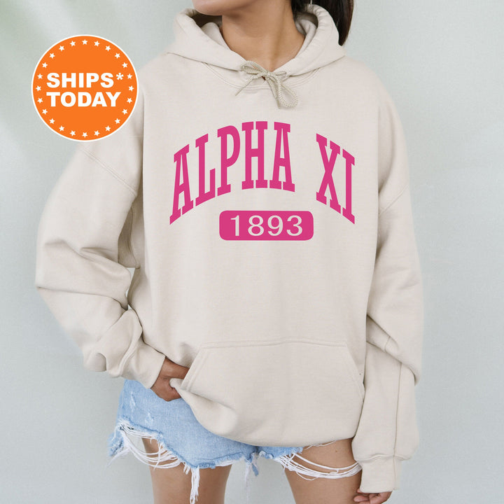 Alpha Xi Delta Pink Baseball Sorority Sweatshirt | AXID Sorority Merch | Alpha Xi Hoodie | Big Little Reveal Gift | Sorority Gifts