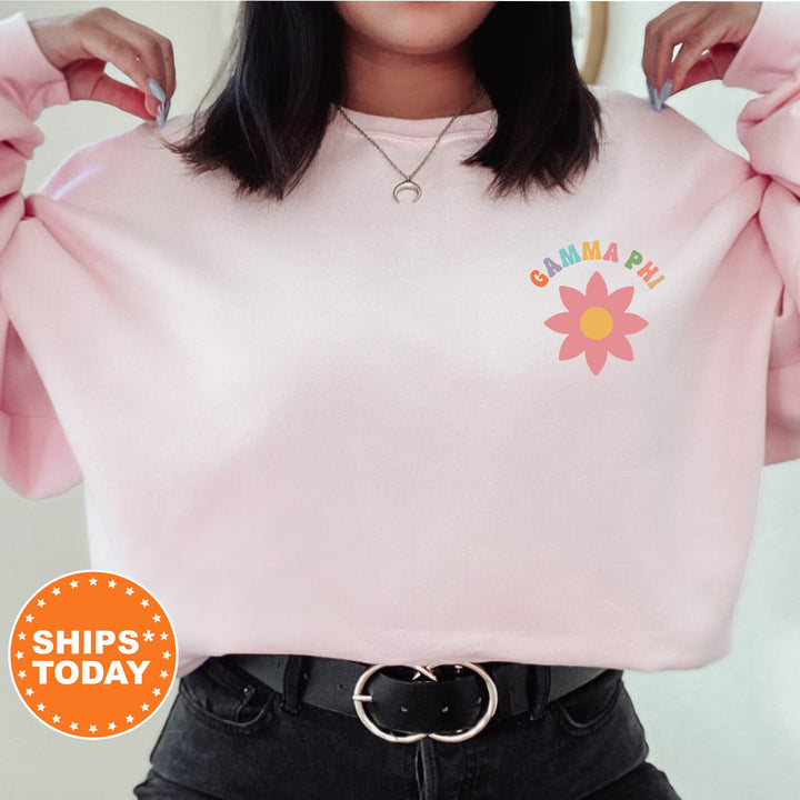 It's Me Hi I'm The Gamma Phi It's Me | Gamma Phi Beta Nature's Palette Sorority Sweatshirt | Big Little Gift | Oversized Hoodie _ 15787g