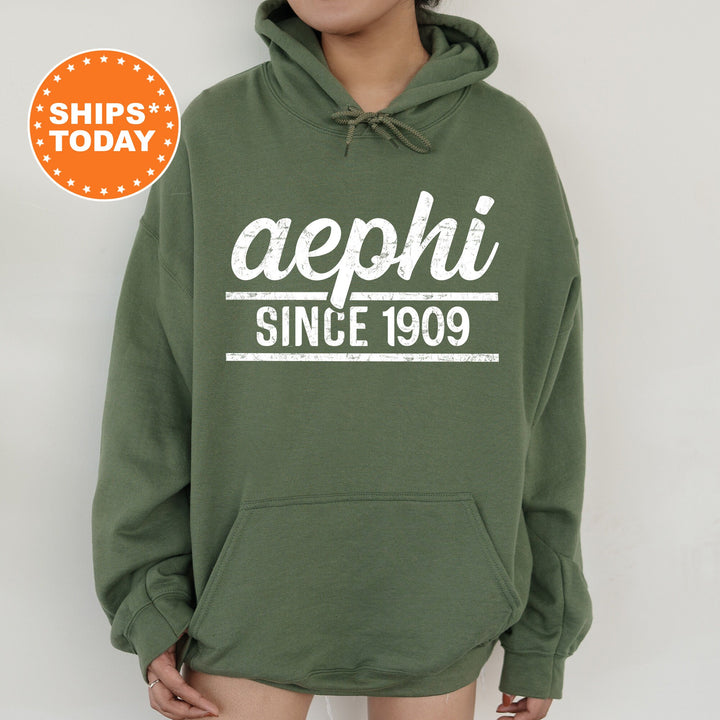 Alpha Epsilon Phi Faded Traditional Sorority Sweatshirt | AEPHI Sorority Hoodie | Big Little Sorority Gifts | Greek Sweatshirt _ 7178g