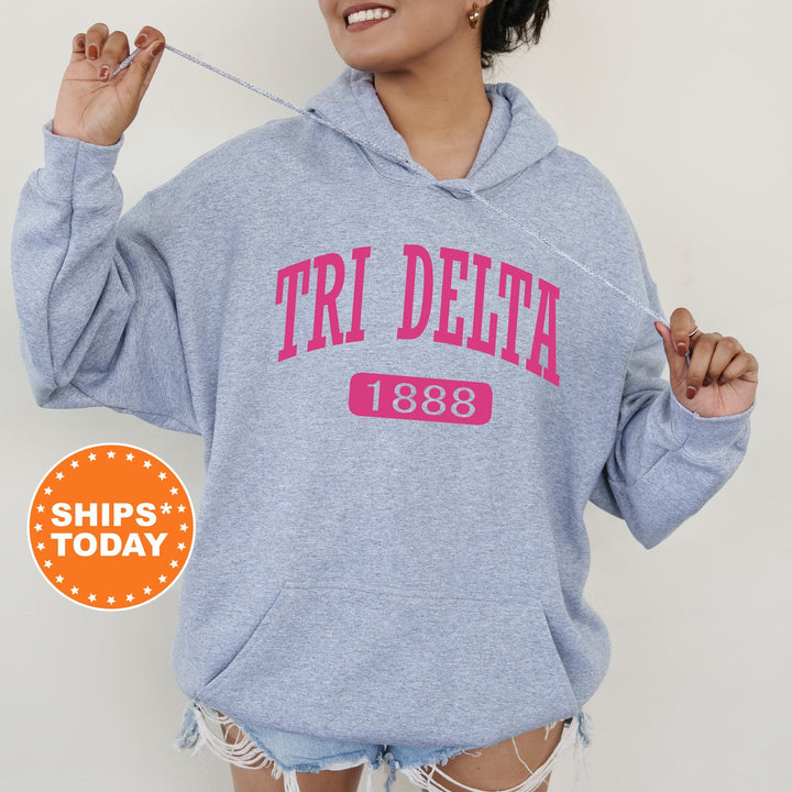 Delta Delta Delta Pink Baseball Sorority Sweatshirt | Tri Delta Hoodie | Big Little Reveal Gift | Sorority Merch | Greek Apparel
