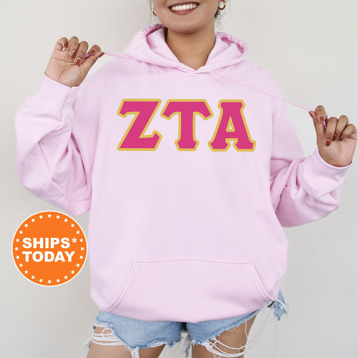Zeta Tau Alpha Pink and Gold Sorority Sweatshirt | Zeta Tau Alpha Sweatshirt | Zeta Greek Letters | Big Little Reveal | ZETA Hoodie