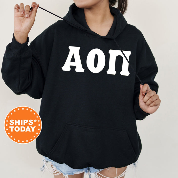 Alpha Omicron Pi Basic Letters Sorority Sweatshirt | Alpha O Greek Letters | Sorority Hoodie | Big Little Reveal | AOPI Merch