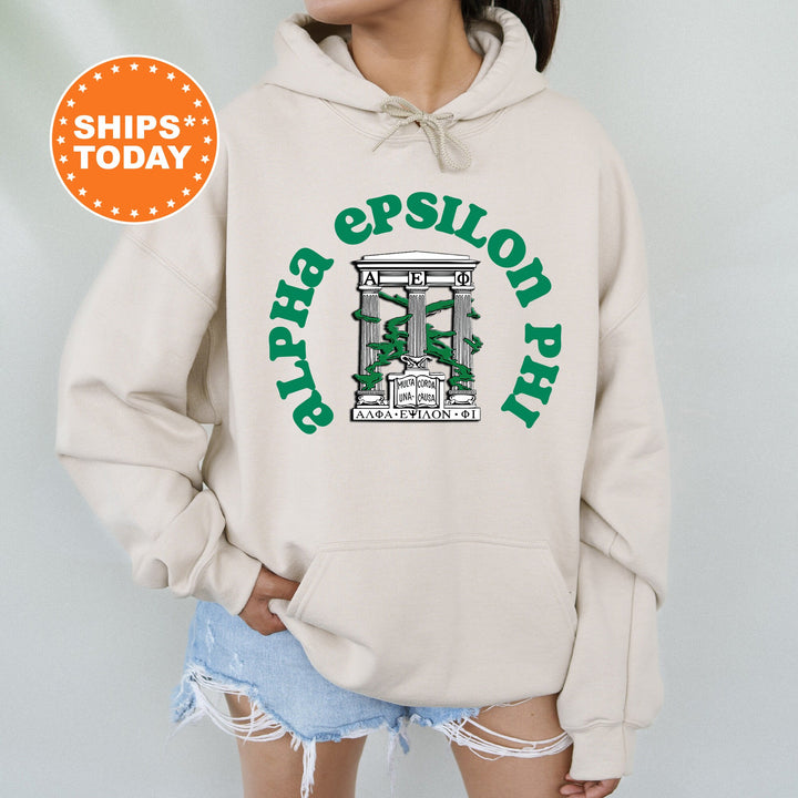 Alpha Epsilon Phi Crest Legacy Sorority Sweatshirt | AEPHI Crest Sweatshirt | Big Little Sorority Gift | College Greek Apparel
