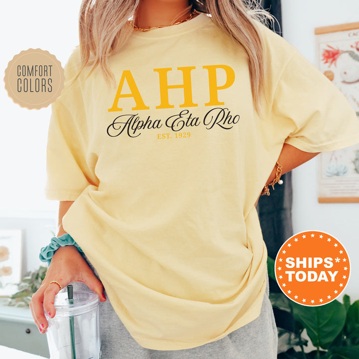 Alpha Eta Rho Letter Unity COED T-Shirt | Alpha Eta Rho Greek Letters Shirt | COED Fraternity Gift | Comfort Colors Shirt _ 15365g