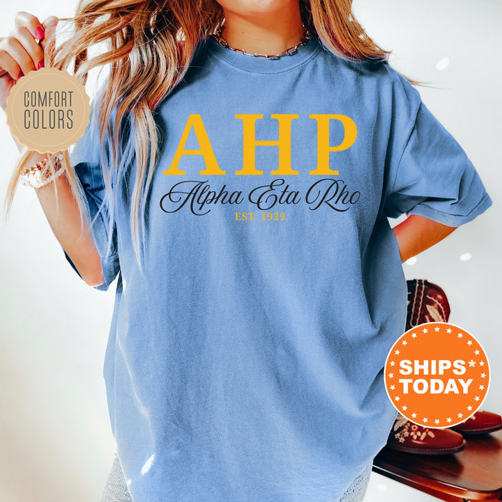 Alpha Eta Rho Letter Unity COED T-Shirt | Alpha Eta Rho Greek Letters Shirt | COED Fraternity Gift | Comfort Colors Shirt _ 15365g