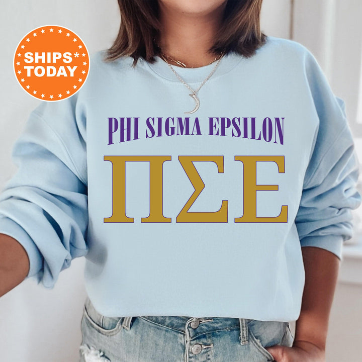Pi Sigma Epsilon Greek Identity COED Sweatshirt | Pi Sigma Epsilon Sweatshirt | Greek Letters | Sorority Letters | Greek Apparel _ 15426g