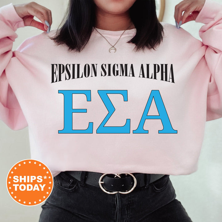Epsilon Sigma Alpha Greek Identity COED Sweatshirt | Epsilon Sigma Alpha Sweatshirt | Greek Letters Sweatshirt | Greek Apparel _ 15419g