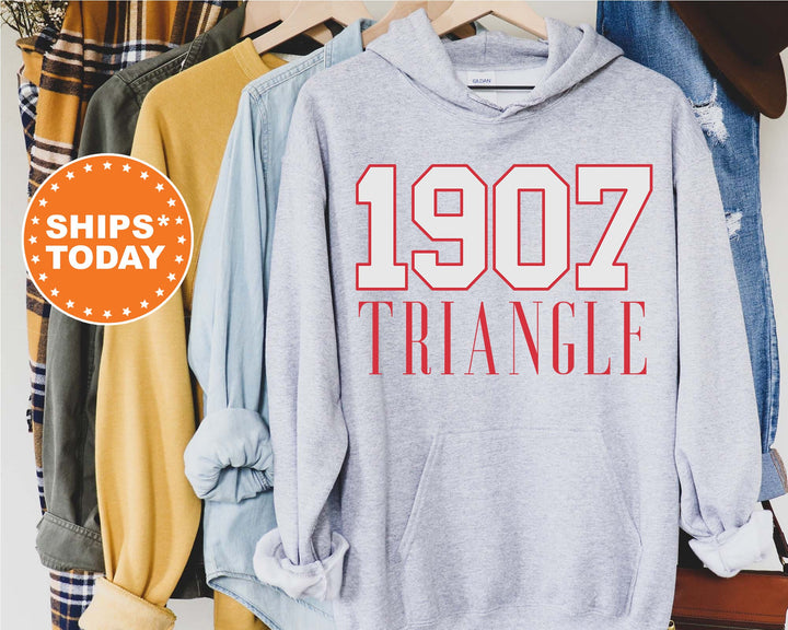 Triangle Greek Bond Fraternity Sweatshirt | Triangle Sweatshirt | Fraternity Gift | Greek Letters | College Crewneck | Bid day _  15569g