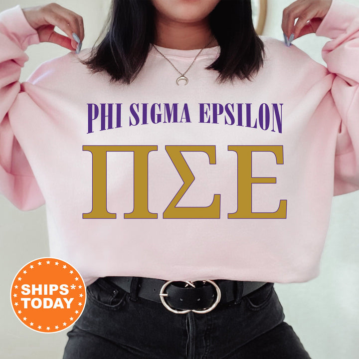 Pi Sigma Epsilon Greek Identity COED Sweatshirt | Pi Sigma Epsilon Sweatshirt | Greek Letters | Sorority Letters | Greek Apparel _ 15426g