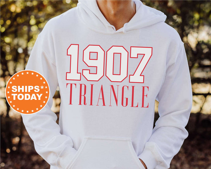 Triangle Greek Bond Fraternity Sweatshirt | Triangle Sweatshirt | Fraternity Gift | Greek Letters | College Crewneck | Bid day _  15569g