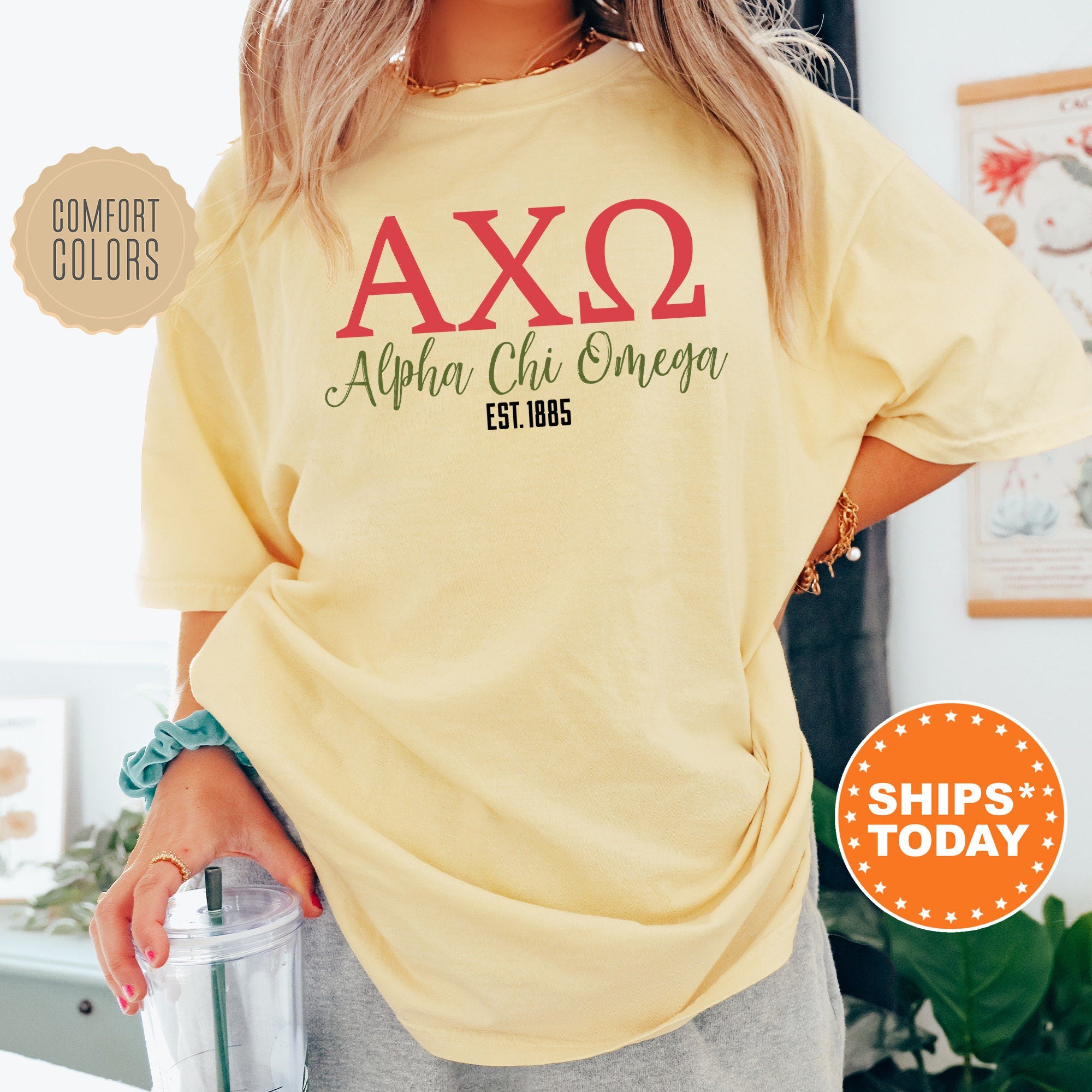 Alpha Chi Omega Stylish Sorority T Shirt Alpha Chi Greek Letters Shirt Sorority Letters Big Little Basket Gift Comfort Colors Tee 16536g