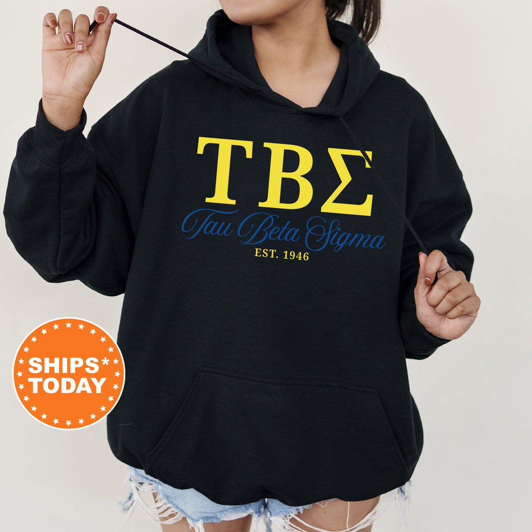 Tau Beta Sigma Script Sisters Sorority Sweatshirt | Tau Beta Sigma Sweatshirt | Greek Letters | Sorority Letters | Sorority Gift _ 14837g