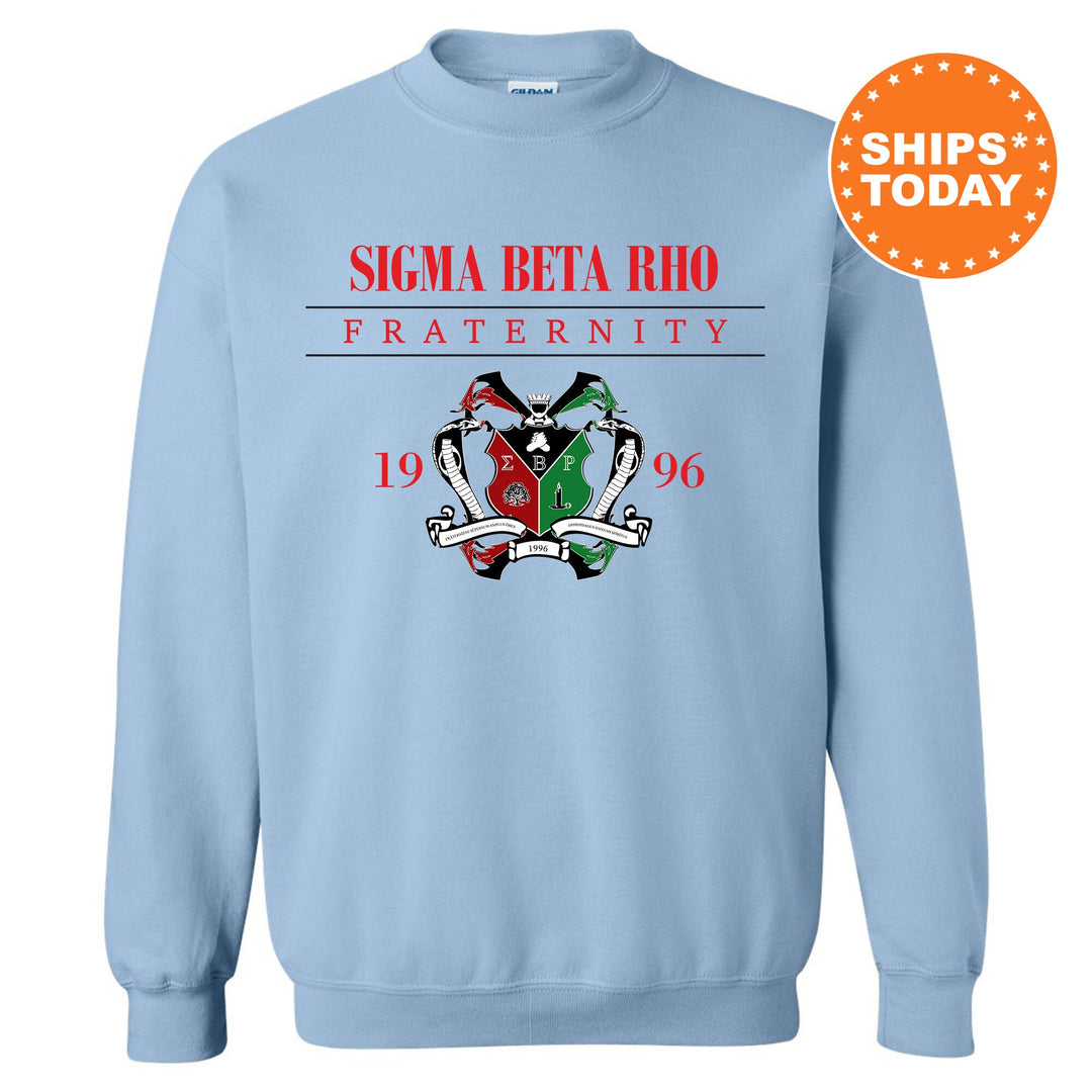 a light blue sweatshirt with a picture of a frog on it