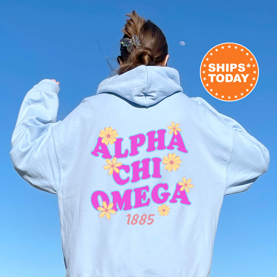 A person wearing a light blue hoodie with the text "ALPA CHI OMEGA 1885" printed on it, standing against a clear blue sky.