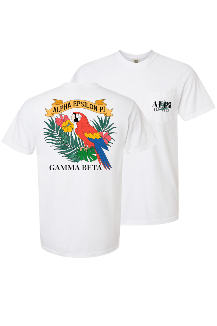Custom Alpha Epsilon Pi Gamma Beta