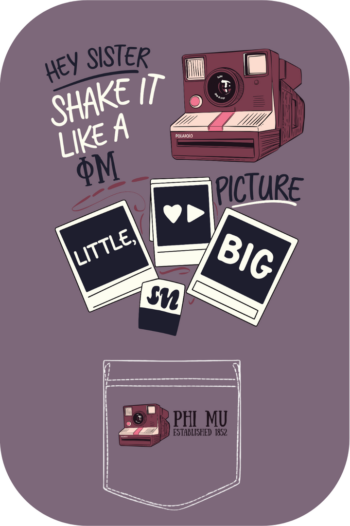 Custom Hey Sister Shake It Like Phi Mu