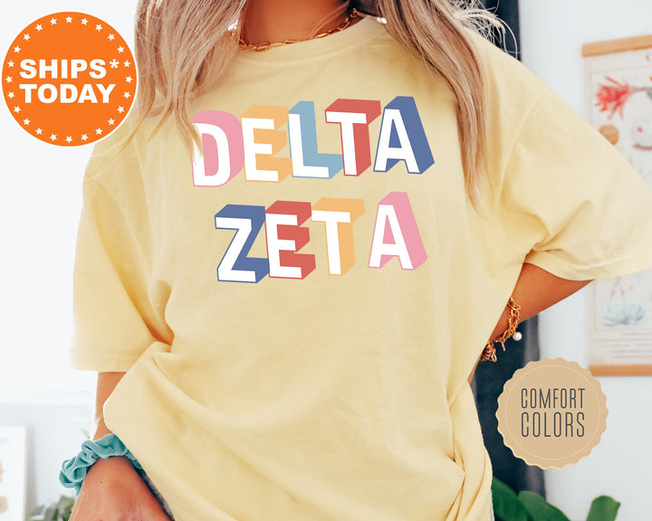 Delta Zeta Loud Box Sorority T-Shirt | Delta Zeta Retro Comfort Colors Shirt | Big Little Sorority Gifts | Dee Zee Oversized Shirt _ 5572g