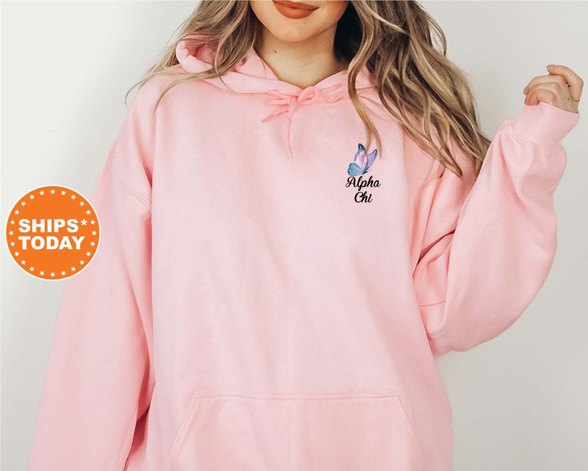 Alpha Chi Omega Fancy Butterfly Sorority Sweatshirt | Alpha Chi Sorority Apparel | Big Little Gift | AXO Sorority Merch | Trendy Sweatshirt