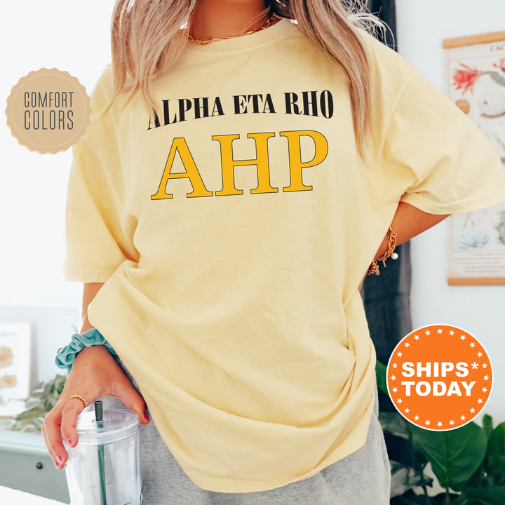 Alpha Eta Rho Greek Identity COED T-Shirt | Alpha Eta Rho Shirt | Comfort Colors Tee | Greek Letters | Sorority Letters _ 15413g